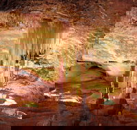 Jenolan Caves Ribbon Cave Tour - Accommodation 4U