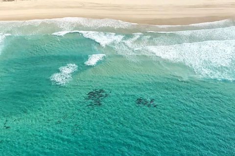 Coastal Helicopter Shared Flight - 20 Minutes - Accommodation 4U 5