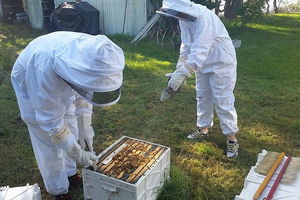 Hands On Beginner Beekeeping Class