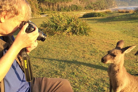 Highlights Of The Eurobodalla (half Day Private Tour) - Accommodation 4U 2