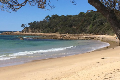 Highlights Of The Eurobodalla (half Day Private Tour) - Accommodation 4U 5