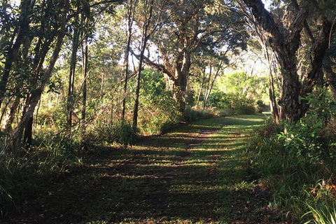 Coffs Harbour To Sawtell Bike Ride - Accommodation 4U 7