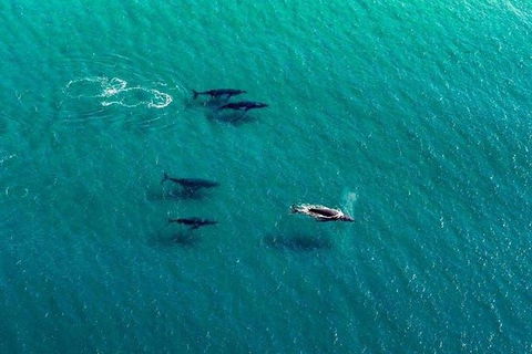 40-45 Minute Port Stephens And Stockton Beach Helicopter Flight - For 2 - Accommodation 4U 5