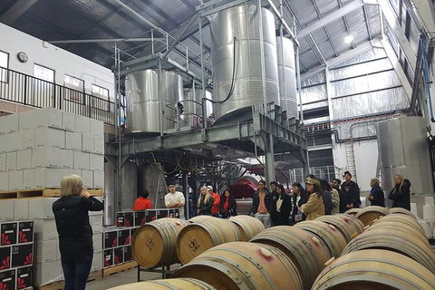 Hunter Valley Small Group Wine, Gin, Cheese & Chocolate Tour - Accommodation 4U 6