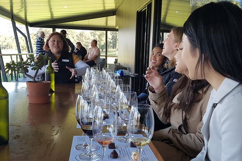 Hunter Valley Small Group Wine, Gin, Cheese & Chocolate Tour - Accommodation 4U 2