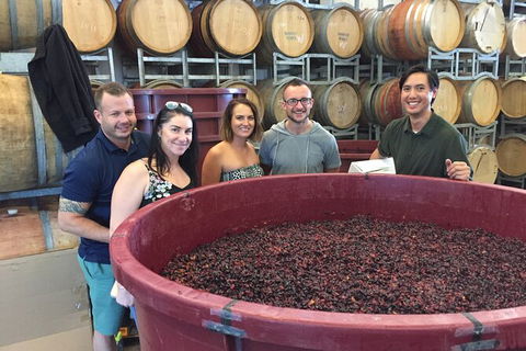 Hunter Valley Small Group Wine, Gin, Cheese & Chocolate Tour - Accommodation 4U 0