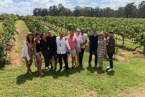 Hunter Valley Exclusive Kangaroo And Wine Tasting Experience - Accommodation 4U 6