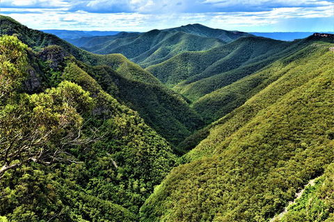 Jenolan Caves Blue Mountains And Kanangra Walls Look Out 4WD Day Tour - Accommodation 4U 5
