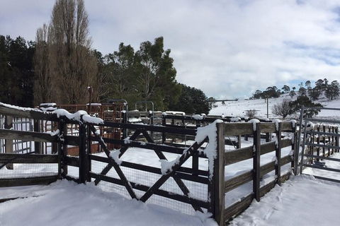 Paddock To Plate Farm Tour And Tasting - Accommodation 4U 11