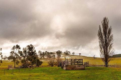 Paddock To Plate Farm Tour And Tasting - Accommodation 4U 0