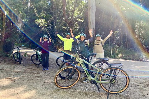 Guided E Bike Tour - Unicorn Falls & National Park - Accommodation 4U 3