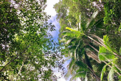 Guided E Bike Tour - Unicorn Falls & National Park - Accommodation 4U 5