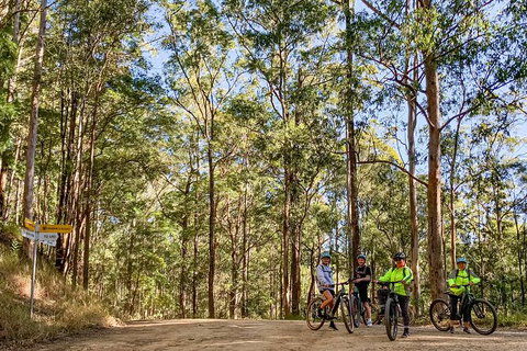Guided E Bike Tour - Unicorn Falls & National Park - Accommodation 4U 10