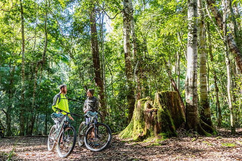 Guided E Bike Tour - Unicorn Falls & National Park - Accommodation 4U 14