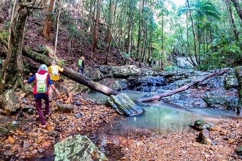 Guided E Bike Tour - Unicorn Falls & National Park - Accommodation 4U 17