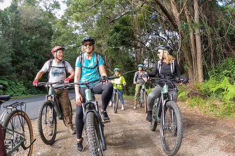 Guided E Bike Tour - Unicorn Falls & National Park - Accommodation 4U 11