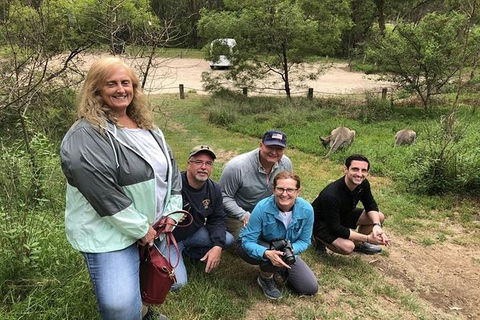 Full-Day Guided Tour Of Blue Mountains With Pick Up - Accommodation 4U 2