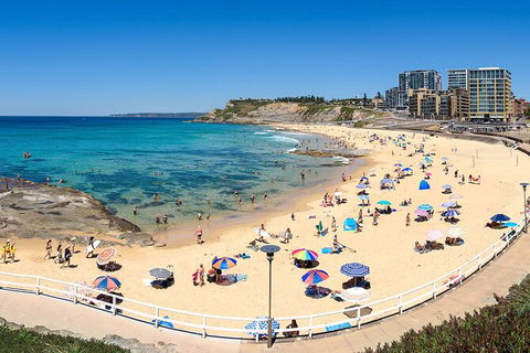 Newcastle Scenic Explorer - 2 Hour Tour By Minibus - Accommodation 4U 16