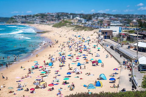 Newcastle Scenic Explorer - 2 Hour Tour By Minibus - Accommodation 4U 6