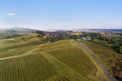 Audrey Wilkinson Vineyard: Fromage And Fortified Wine Experience - Accommodation 4U 1