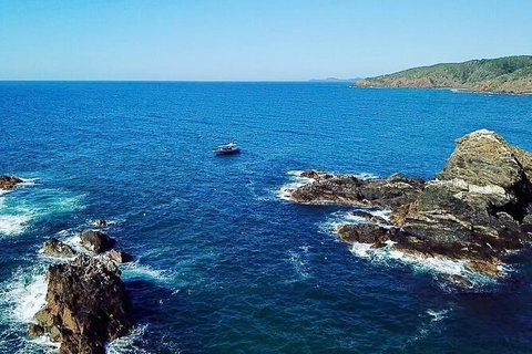 Julian Rocks Byron Bay Cruise - Accommodation 4U 15