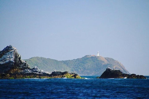 Julian Rocks Byron Bay Cruise - Accommodation 4U 2