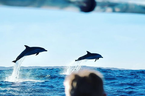 Julian Rocks Byron Bay Cruise - Accommodation 4U 18