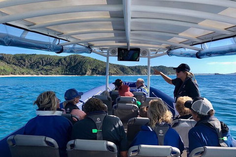 Julian Rocks Byron Bay Cruise - Accommodation 4U 11