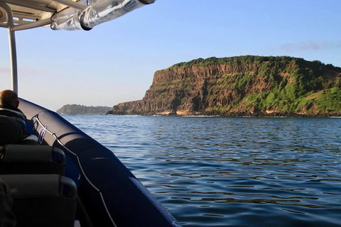 Julian Rocks Byron Bay Cruise - Accommodation 4U 17