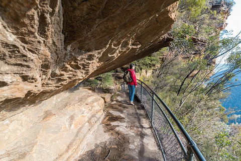 Blue Mountains Highlights & Wildlife Park - Accommodation 4U 0