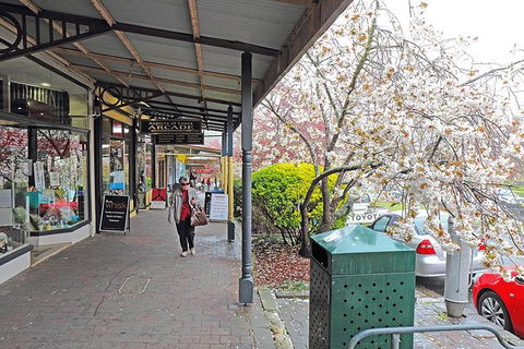 Blue Mountains Highlights & Wildlife Park - Accommodation 4U 2
