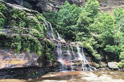 Blue Mountains Highlights & Wildlife Park - Accommodation 4U 8