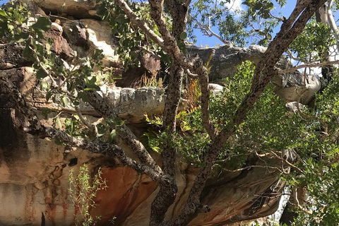 2-Hour 4WD Tour: Groote Eylandt Snapshot - Accommodation 4U 3