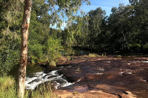 4-Hour Groote Eylandt Explorer 4WD Tour - Accommodation 4U 5
