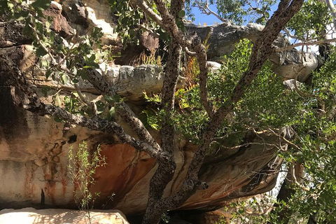 4-Hour Groote Eylandt Explorer 4WD Tour - Accommodation 4U 1