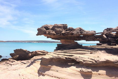 Groote Eylandt Tour: Hanging Rock Cave Paintings - Accommodation 4U 0