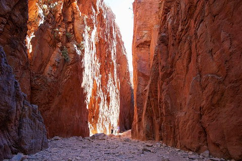 Best Of Alice Springs Full Day Tour - Accommodation 4U 6