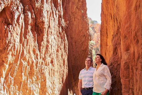 Best Of Alice Springs Full Day Tour - Accommodation 4U 4