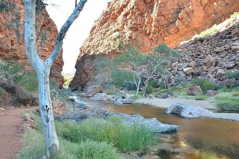 Alice Springs, Uluru Ayers Rock & Kings Canyon 8 Days Touring Package - Accommodation 4U 2