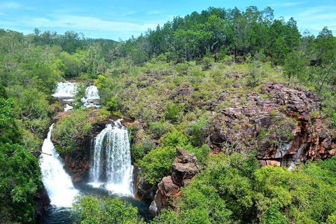 Darwin: Premium Litchfield Regional 11 Hours Tour - Accommodation 4U 5