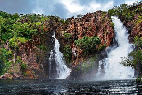 Darwin: Premium Litchfield Regional 11 Hours Tour - Accommodation 4U 0