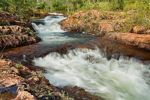 Full-Day Private Guided Tour To Litchfield National Park - Accommodation 4U 3
