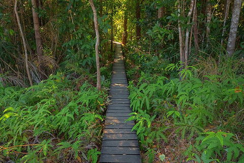 Full-Day Private Guided Tour To Litchfield National Park - Accommodation 4U 7
