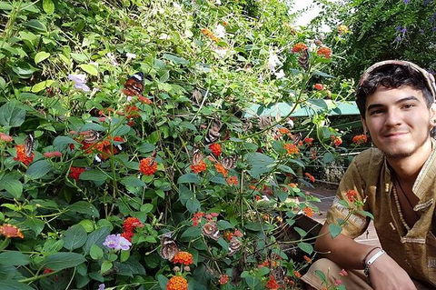 Full-Day Private Guided Tour To Litchfield National Park - Accommodation 4U 17