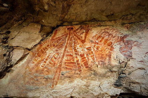 Arnhem Land Injalak Hill Full-Day Tour From Darwin - Accommodation 4U 1