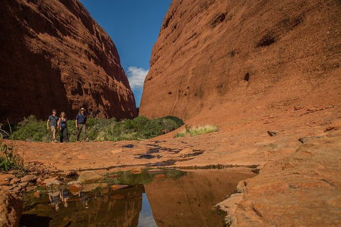4 Day/3 Night Perentie Dreaming Safari - Accommodation 4U 3