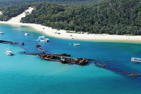 All Inclusive Dolphin And Tangalooma Wrecks Cruise - Accommodation 4U 2