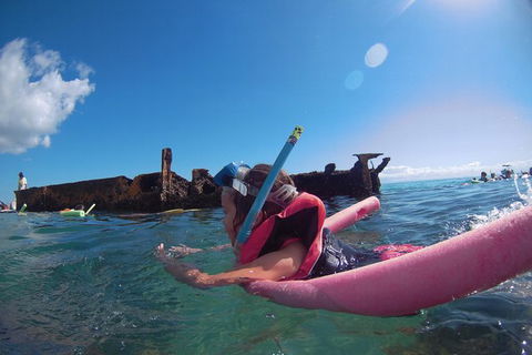 All Inclusive Dolphin And Tangalooma Wrecks Cruise - Accommodation 4U 8