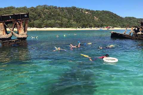 All Inclusive Dolphin And Tangalooma Wrecks Cruise - Accommodation 4U 9