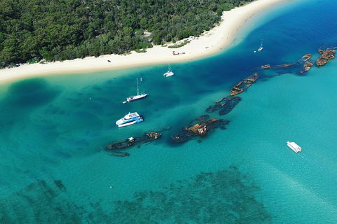 All Inclusive Dolphin And Tangalooma Wrecks Cruise - Accommodation 4U 3